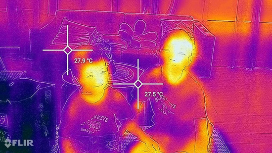 31-7_large.jpg (119 KB)