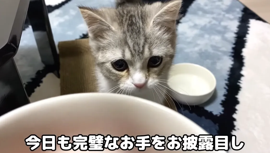 3screenshot8.webp (49 KB)