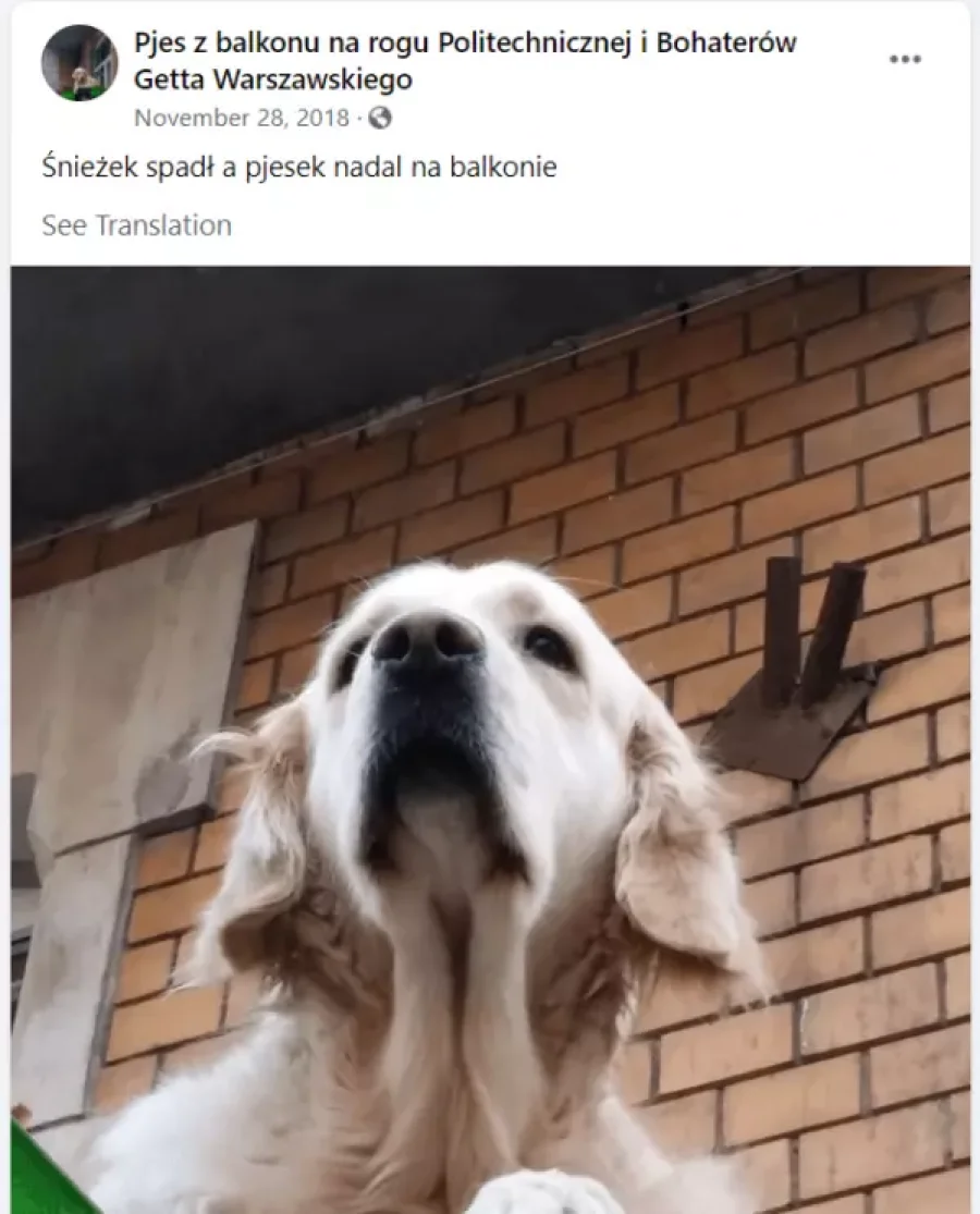 59a8b517b8b063b0e0ab2051ce61b32e.webp (60 KB)