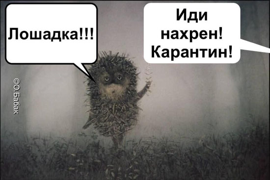 380ce16d933f9bbe8f625f2c0676e898a.jpg (47 KB)