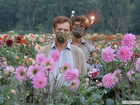 e187d57f95928c94314183ebcf0.jpg (90 KB)