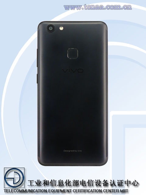 vivo2.jpg (86 KB)