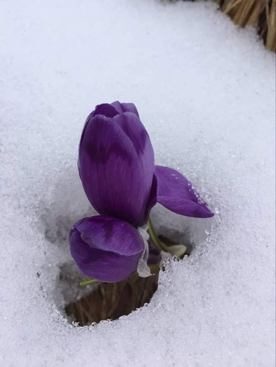 2183647515_4479408195422457_9142115373802580350_n.jpg (101 KB)