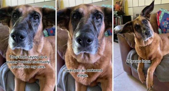 2921775.jpg (159 KB)