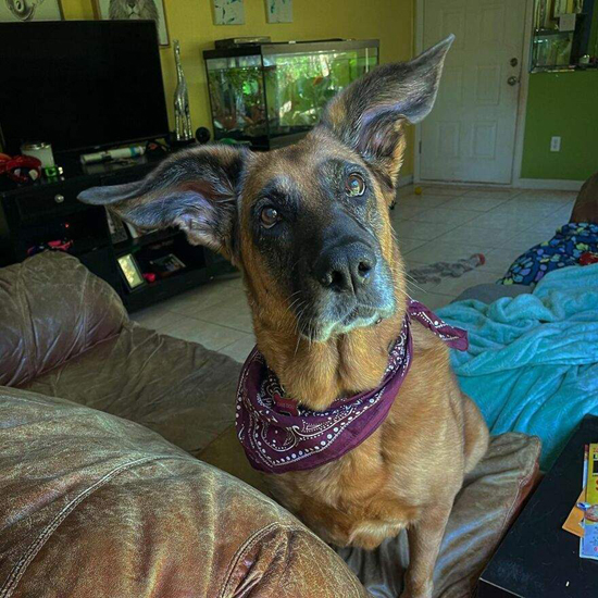 4921777.jpg (274 KB)