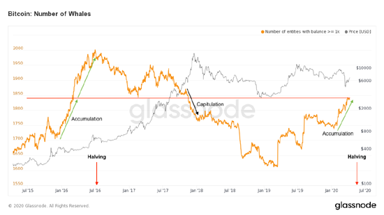 4glassnode-studio_bitcoin-number-of-whales-1-copy.png (51 KB)