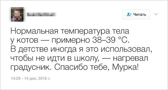 6541806.jpg (56 KB)