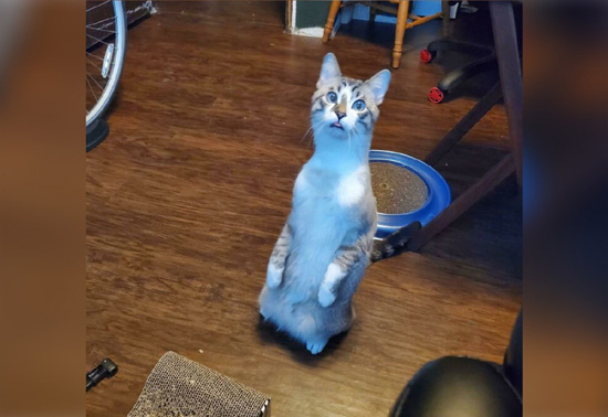 1000837335_big.jpg (78 KB)