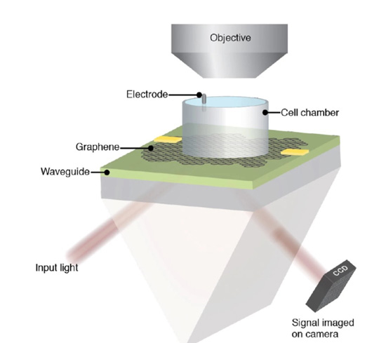 19f9a0205-fb54d9e7a7b05b25697dfb721472c77b.jpg (43 KB)