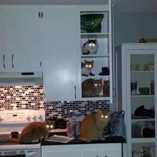 3837326_big.jpg (108 KB)