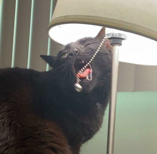 4837327_big.jpg (73 KB)