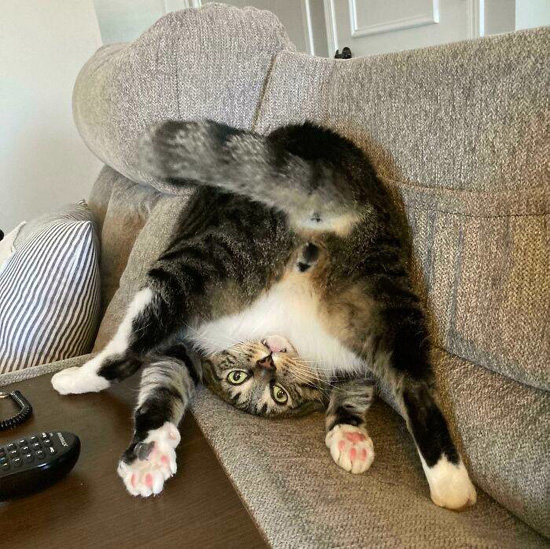 5837328_big.jpg (170 KB)