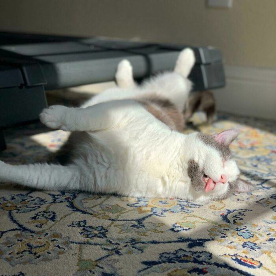 7837331_big.jpg (126 KB)