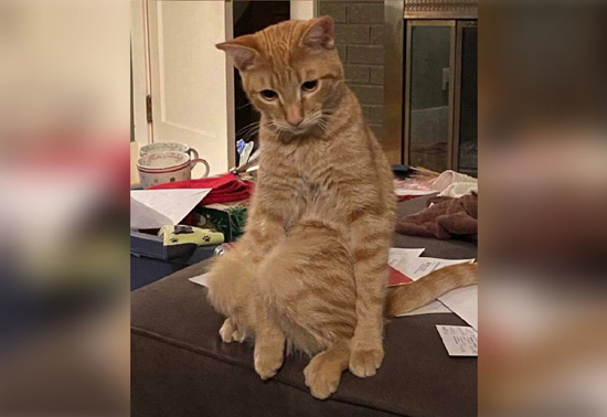 9837334_big.jpg (72 KB)