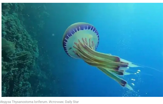 12341111111.jpg (81 KB)