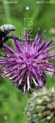 2OKqFR9yuyo4Ktz1b7v5F7oVsby1nnur.jpg (31 KB)