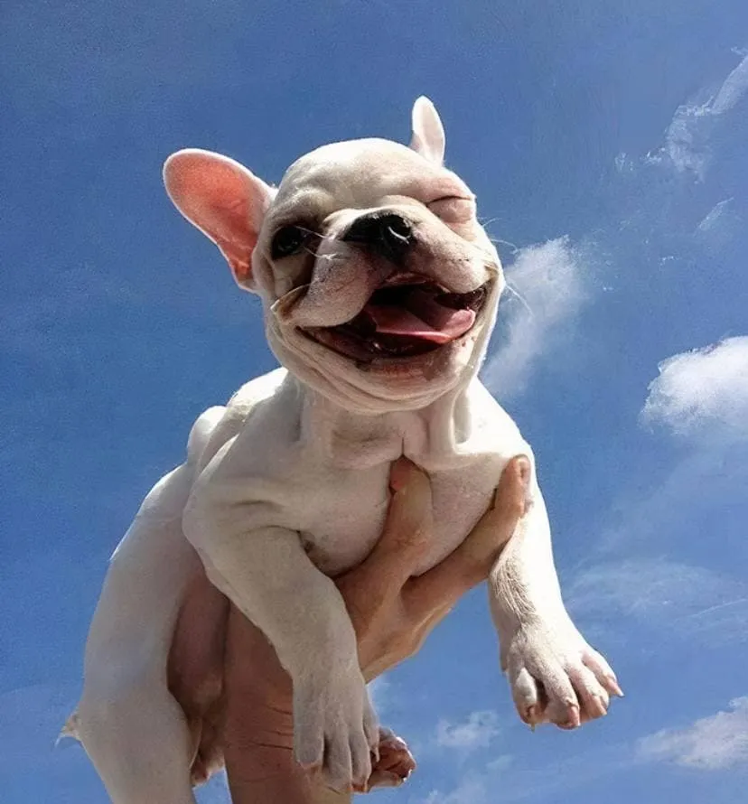 2photo2021-10-0516-37-15.webp (48 KB)