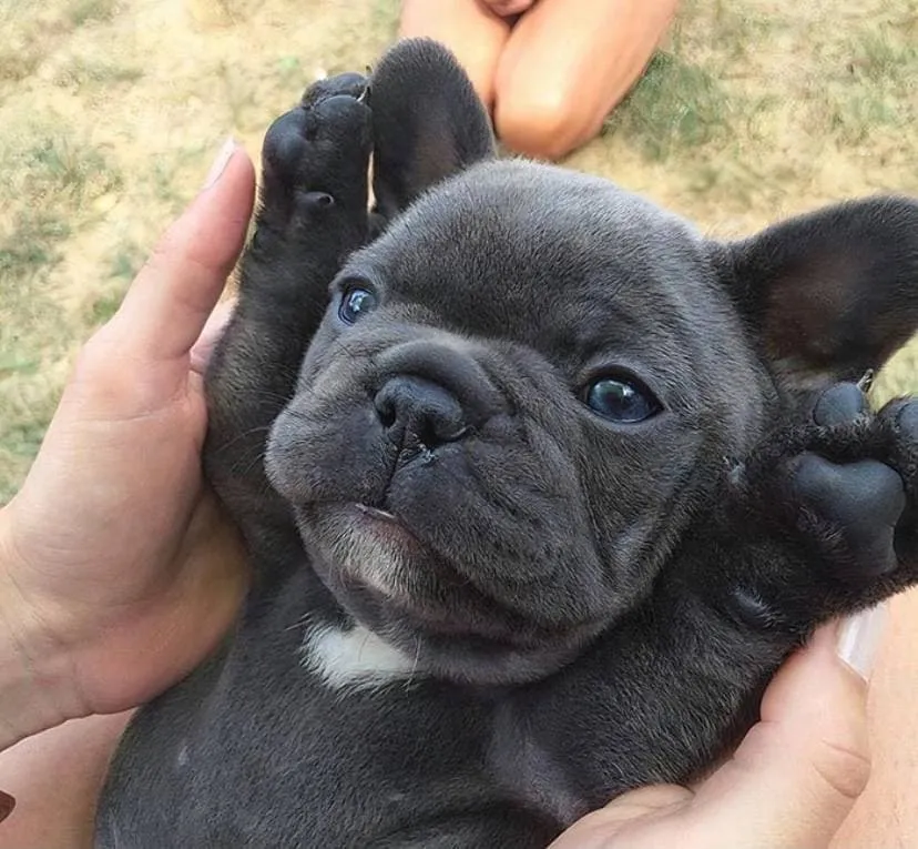 3photo2021-10-0516-37-21.webp (83 KB)