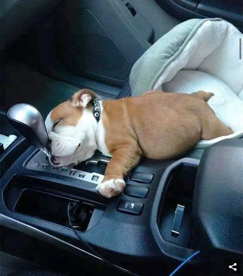 4photo2021-10-0516-37-20.webp (62 KB)