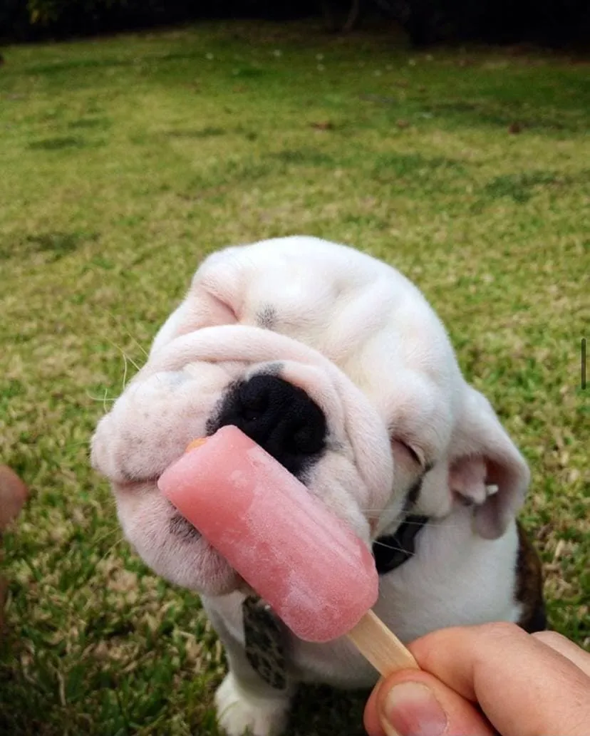 5photo2021-10-0516-37-19.webp (64 KB)