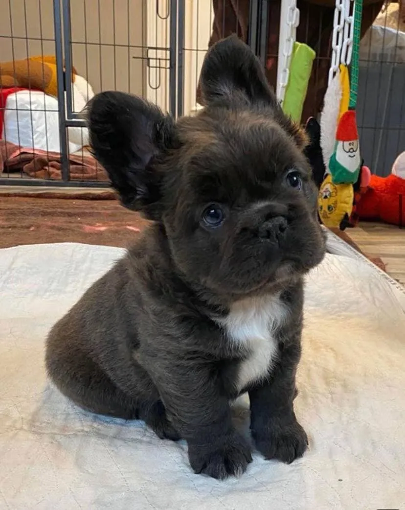 6photo2021-10-0516-37-18.webp (75 KB)