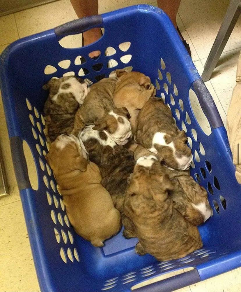 photo2021-10-0516-37-16-2.webp (112 KB)