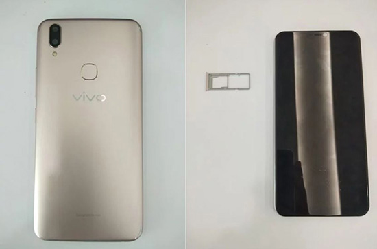 vivo2.JPG (45 KB)