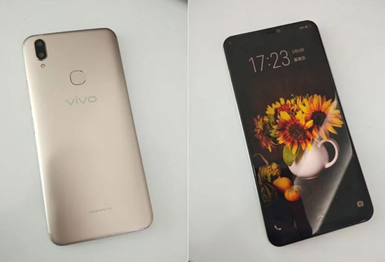 vivo3.JPG (55 KB)