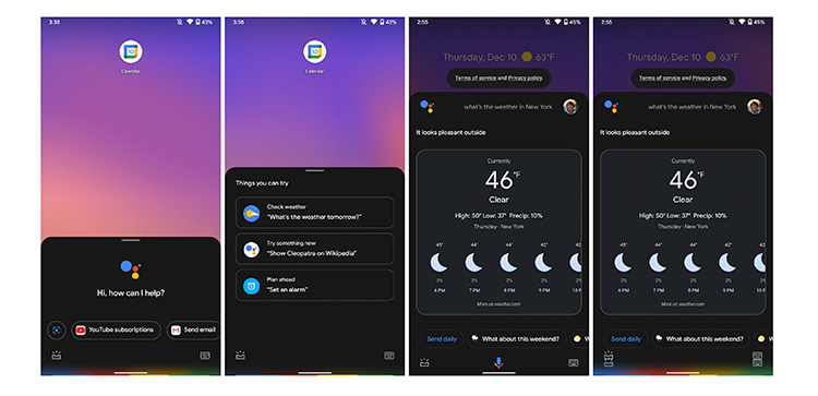 3234231.jpg (172 KB)