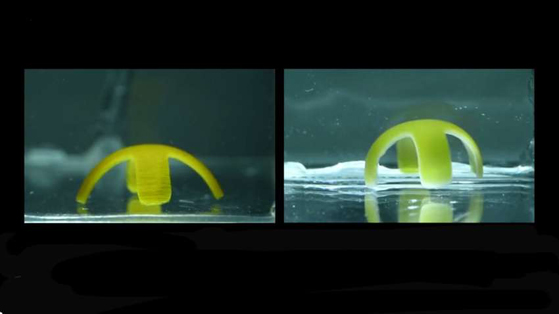 gMjv6MsujgfS4CrSQajcEloRuGMrpR7K.jpg (62 KB)