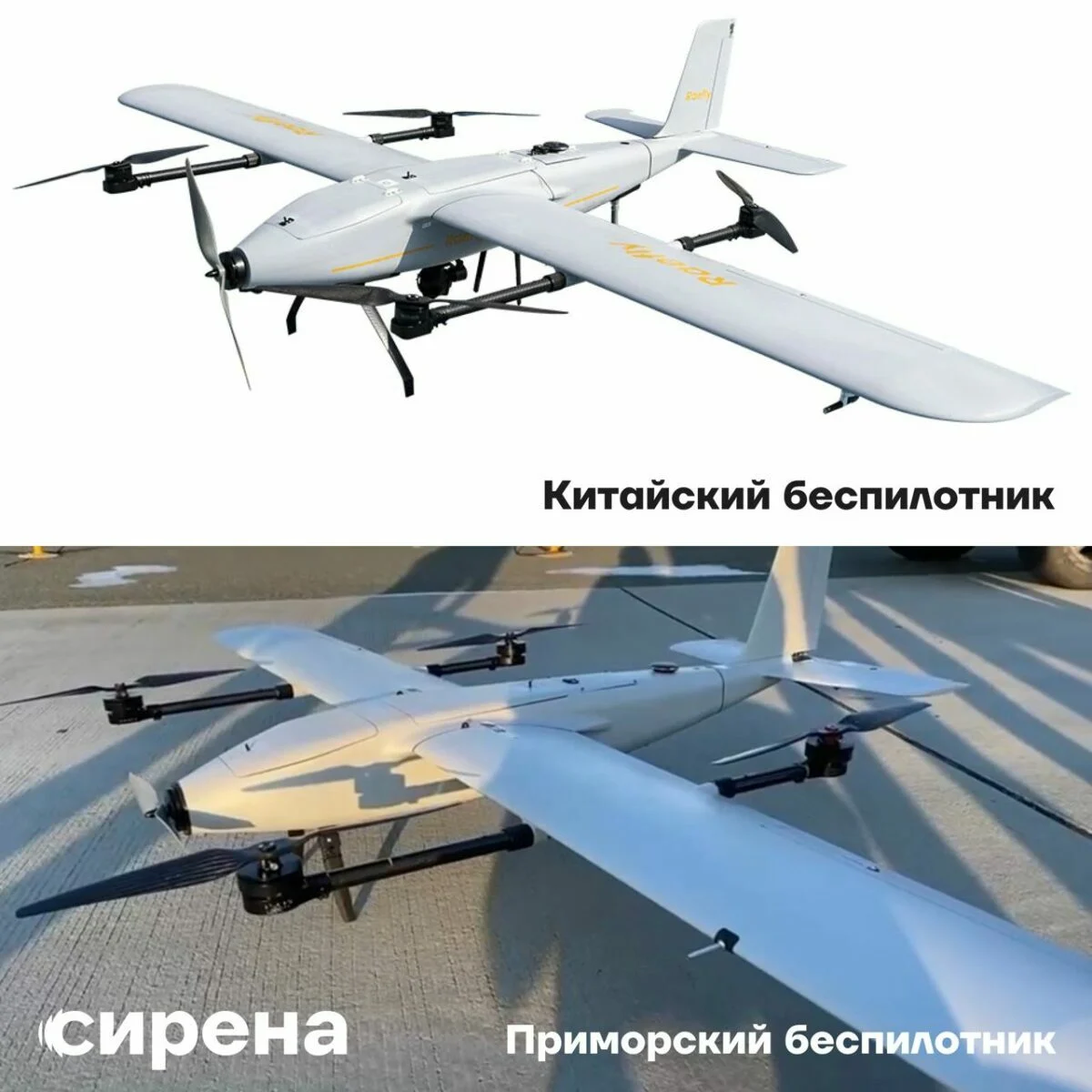 14-15-1200x1200.webp (89 KB)