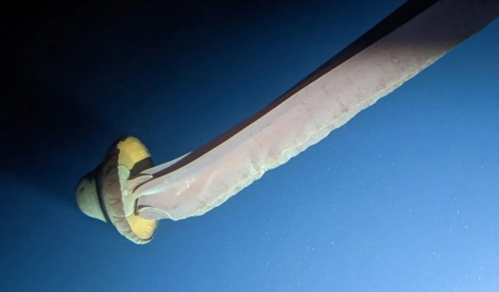 94cf78ae-4f4fcfbe48c2225b670346f98ae224ad.jpg (81 KB)