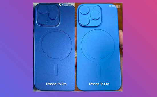 1scale_1200-10.jpg (79 KB)