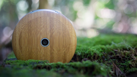 1monohm-runcible.jpeg (128 KB)
