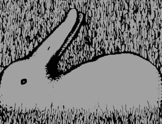 51fe9fe0-d6fcfd1b817726a85c0be9fca659d7c5.jpg (123 KB)