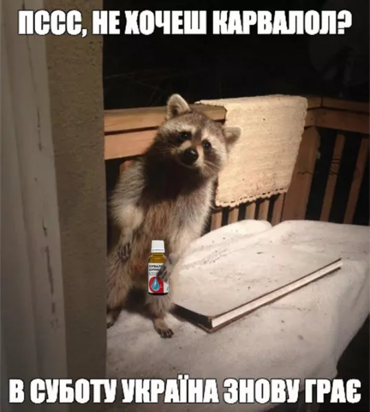 11119605w800h600zc0.webp (25 KB)