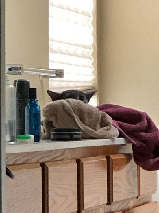 1ELS6cNBUAA_q1z.jpeg (77 KB)