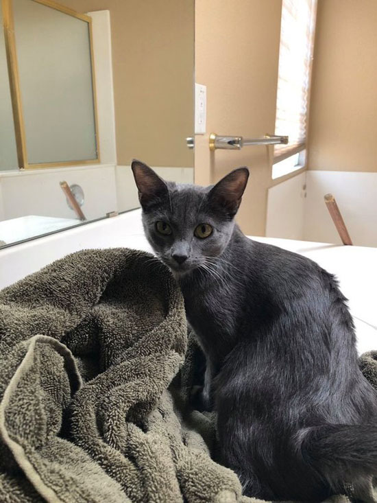 2ParmBabyYoda.jpg (103 KB)