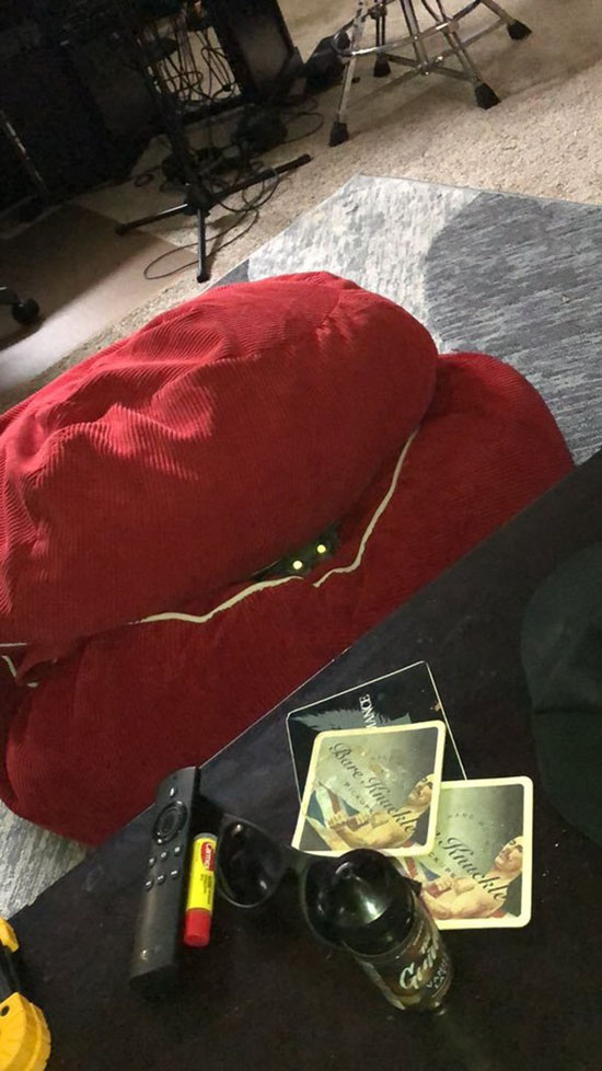 3BabyYodaCatLookalike.jpeg (111 KB)