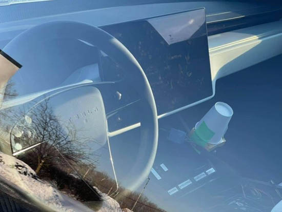 111steer_02.jpg (42 KB)