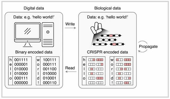 9sexgy_bk7_big.thumb.jpg.2259bd343b2d0651b88ebceb218e33ee.jpg (42 KB)