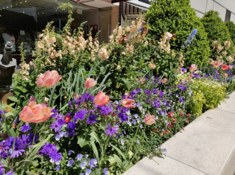 2kyyhz24JydomoyqWweMrATiyGz2y0Eg3.png (371 KB)