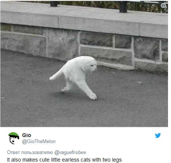 389888888.jpg (129 KB)