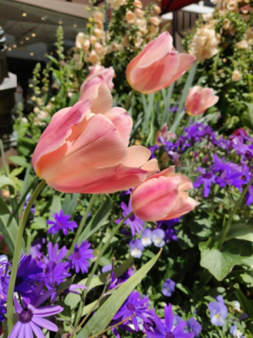 5kyyhz2OhG9PI7jz2oNbhmZQWY3HNYxx8.png (306 KB)