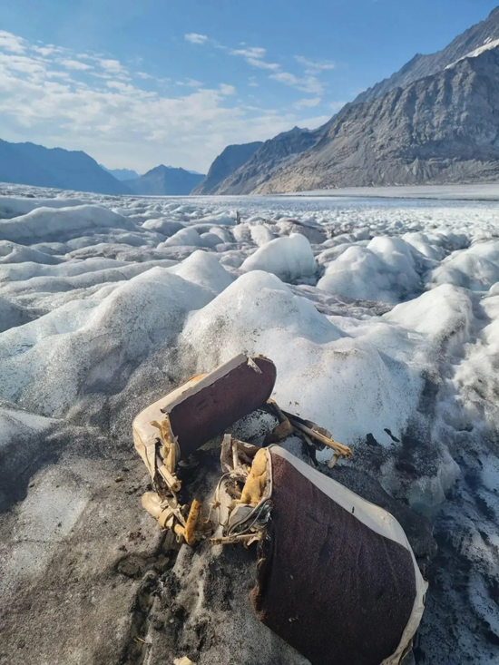 1659782778-272.jpg (320 KB)