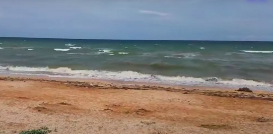 21101283_3_w_1000.jpg (91 KB)