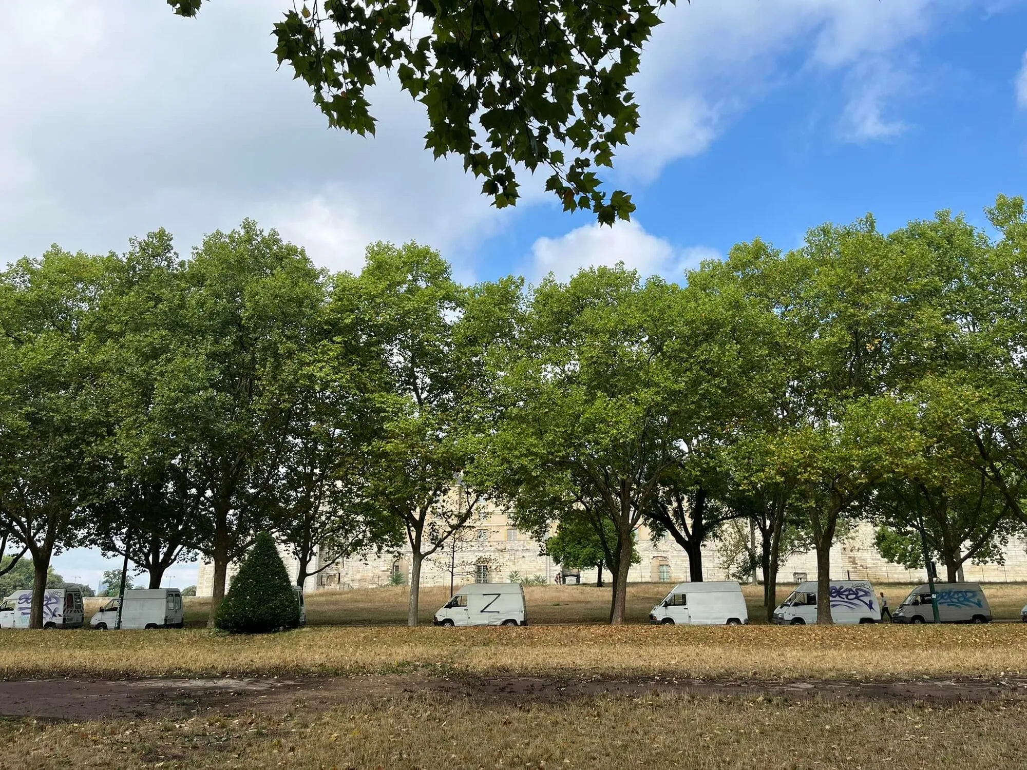 299528104101595531354884115561061485714017066n.webp (679 KB)