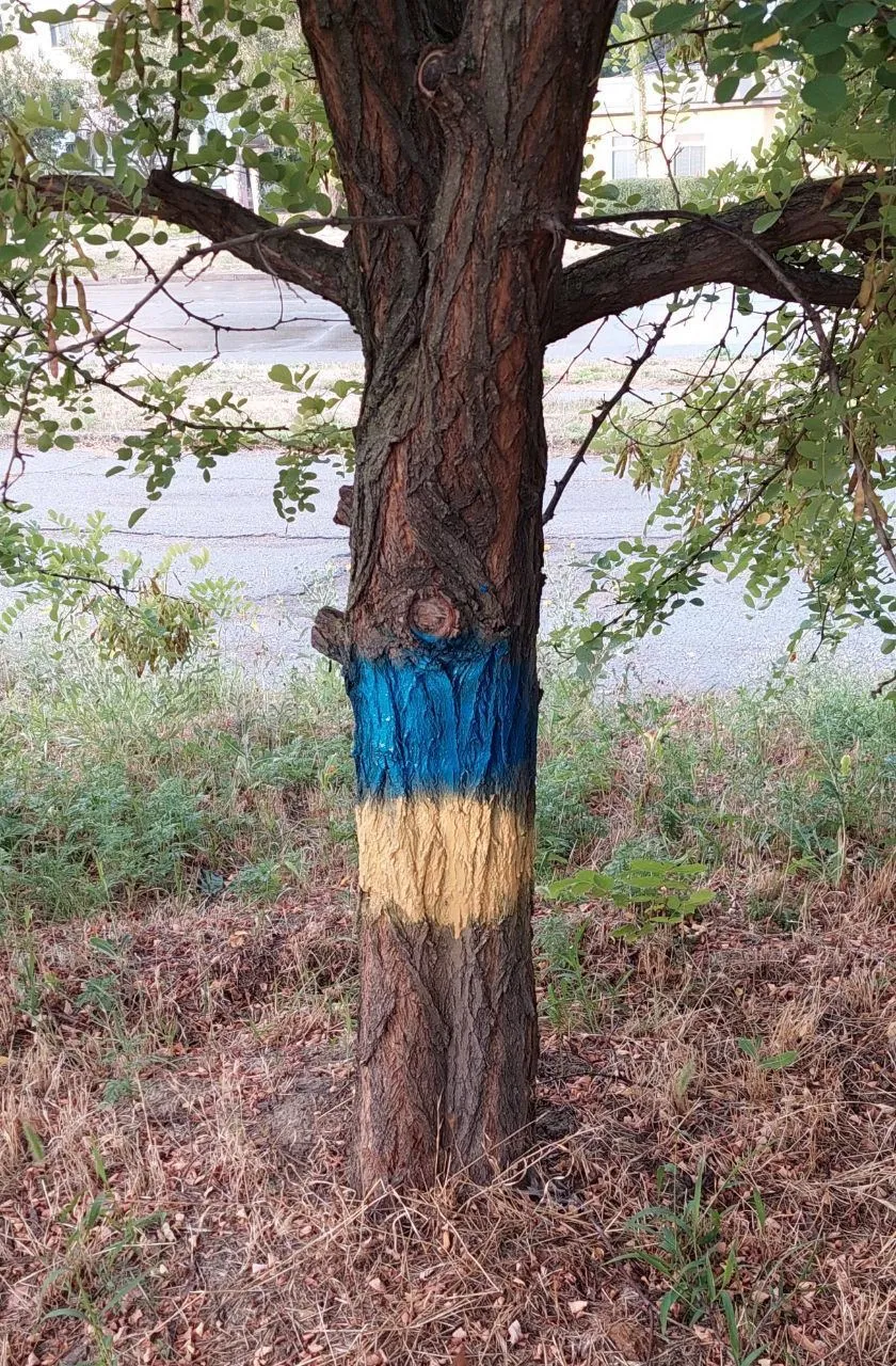 2photo2022-08-1409-20-42.webp (375 KB)