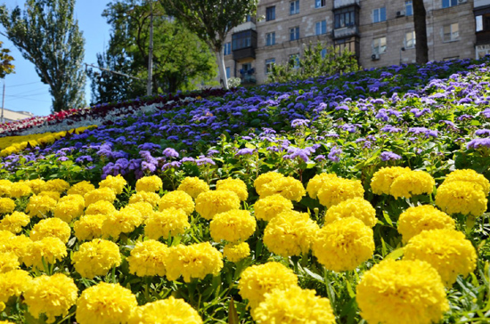 2photo_2022-07-28_15-02-37.jpg (227 KB)