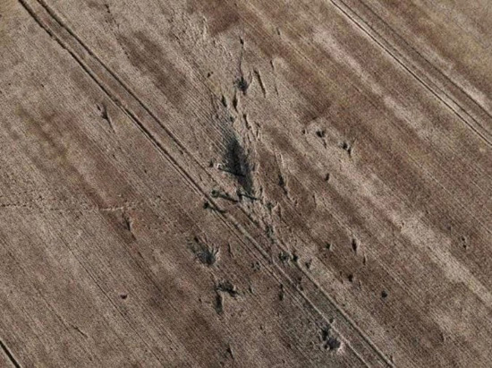 3332394265995_411066434391012_6348394487688338072_n.jpg (132 KB)